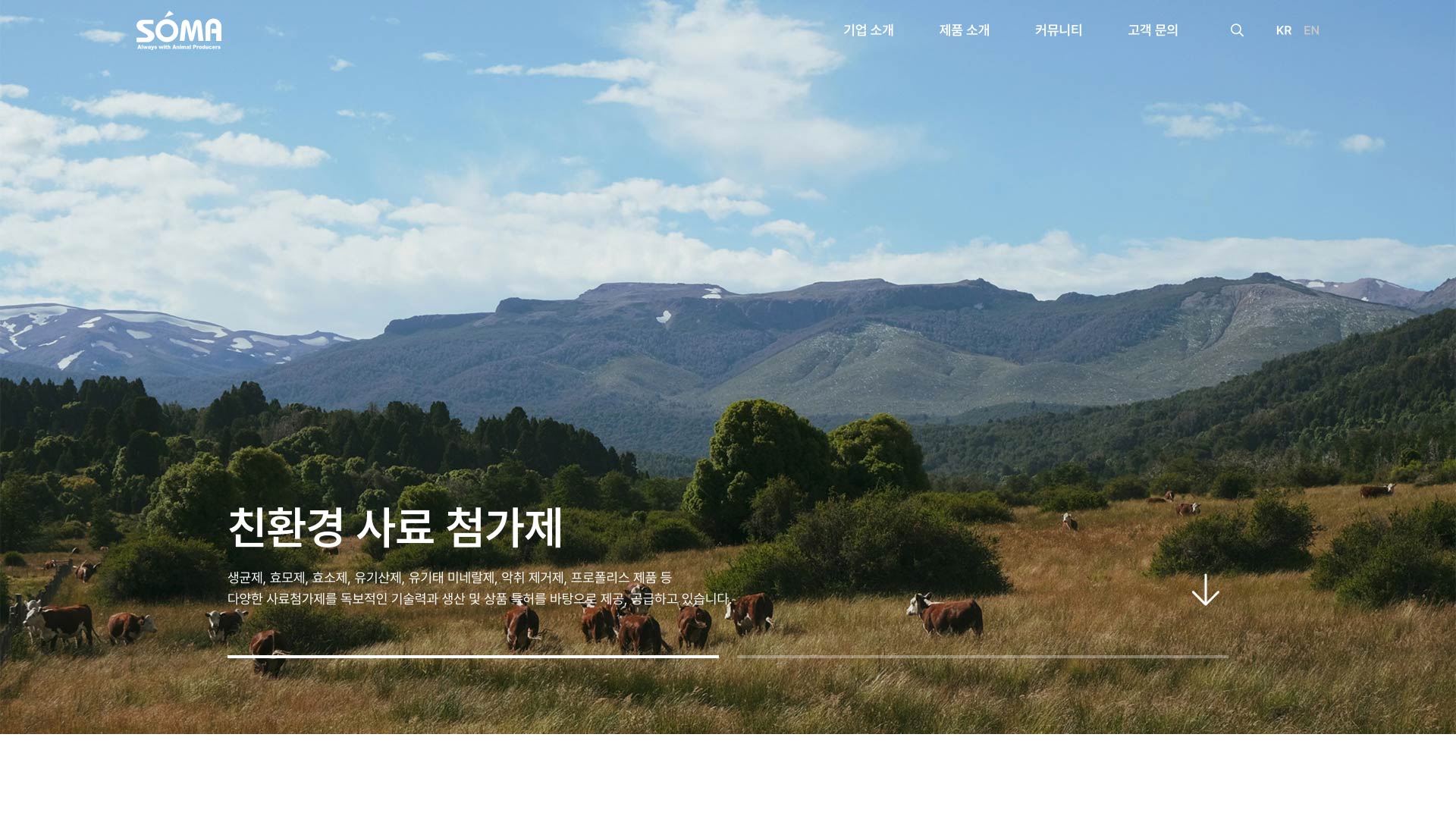 웹사이트 개발 (반응형)